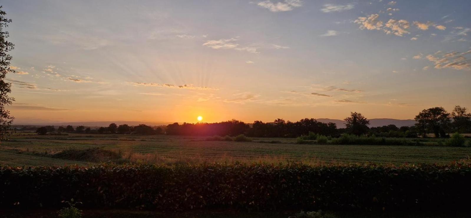 Agriturismo Il Canneto Casole d'Elsa Ngoại thất bức ảnh