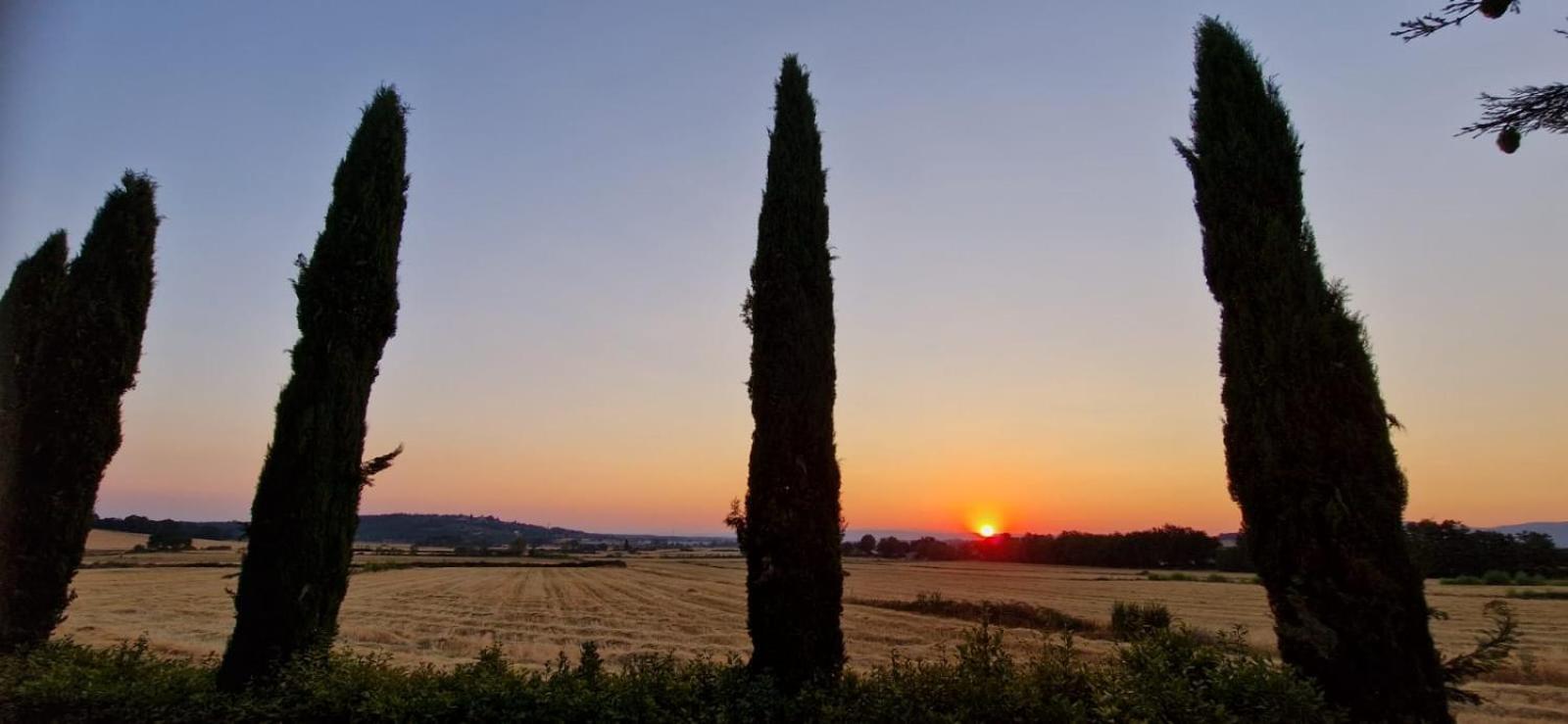 Agriturismo Il Canneto Casole d'Elsa Ngoại thất bức ảnh